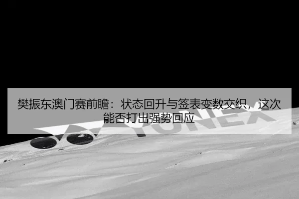 樊振东澳门赛前瞻：状态回升与签表变数交织，这次能否打出强势回应 | kaiyun